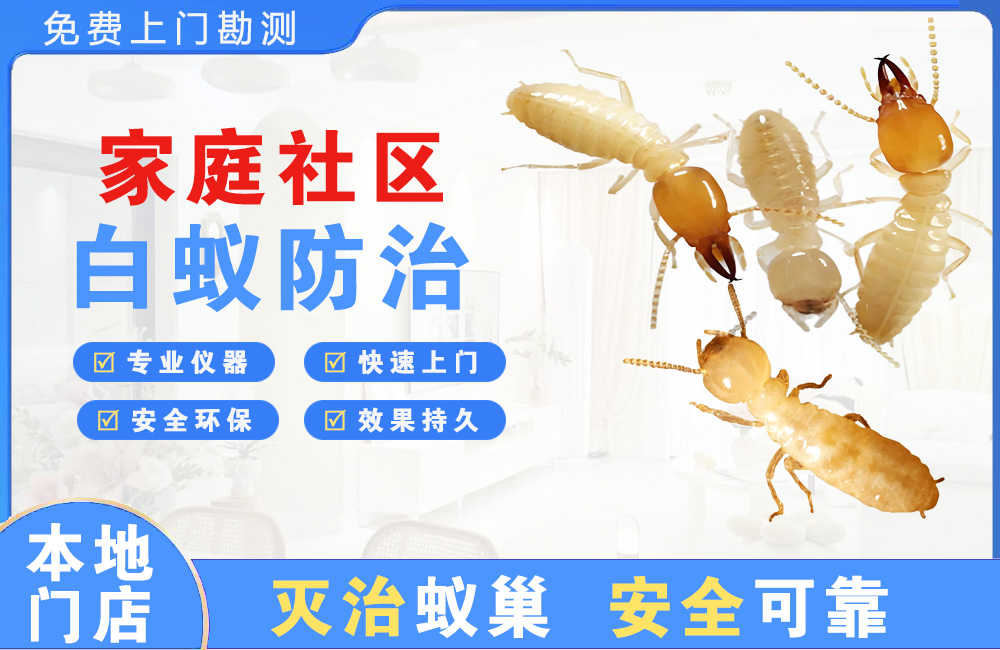 金华家庭社区白蚁防治