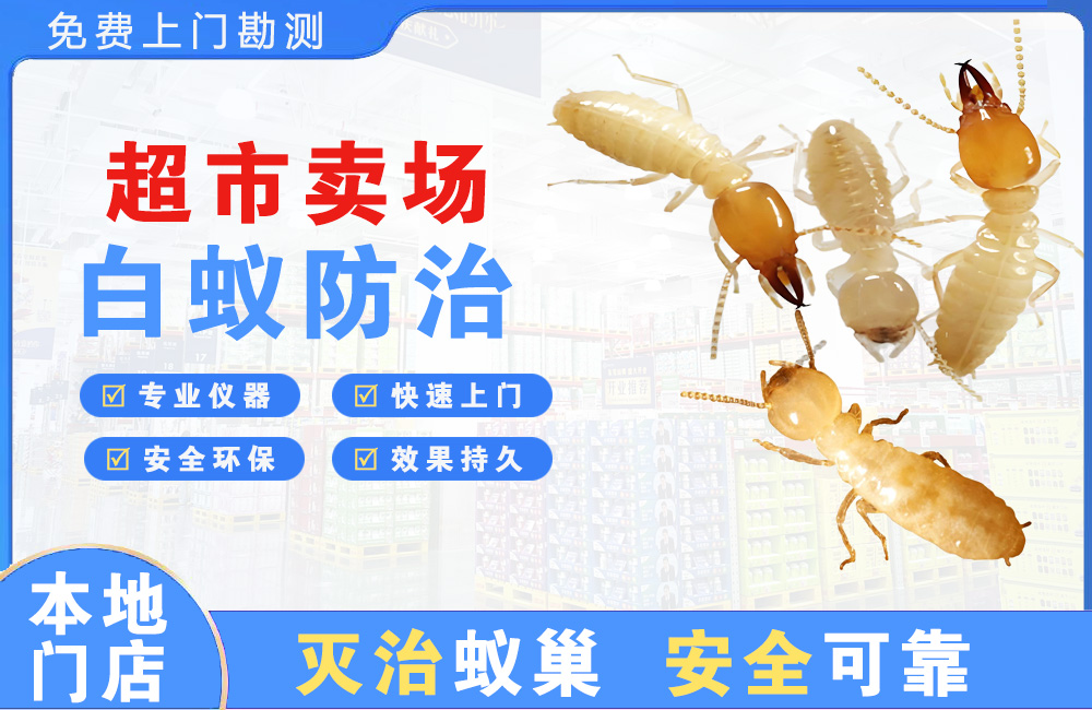 金华超市卖场白蚁防治