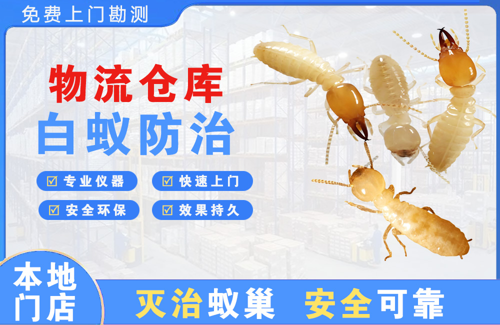 金华物流仓库白蚁防治