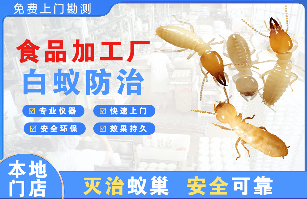 金华食品加工厂白蚁防治