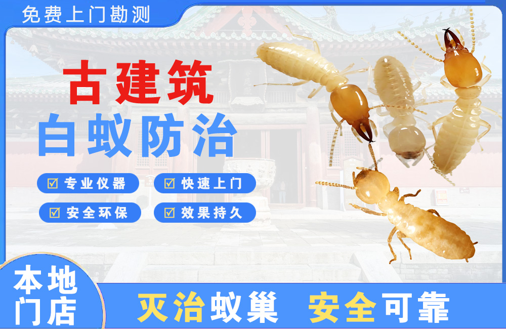 金华古建筑白蚁防治