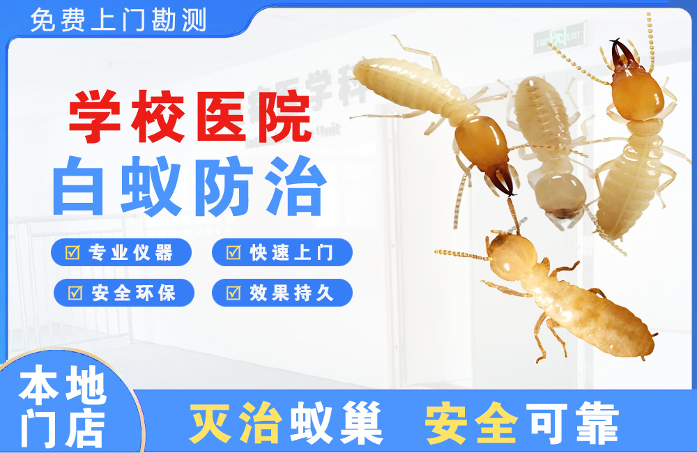 金华学校医院白蚁防治