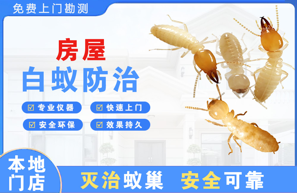 金华房屋白蚁防治