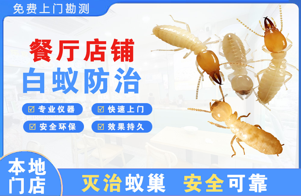 金华餐厅店铺白蚁防治